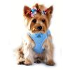 American River Choke Free Dog Harness