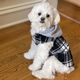 Weekender Dog Sweatshirt Hoodie Black & White Plaid Flannel (size: X-Large)