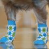 Non-Skid Dog Socks