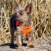 American River Choke Free Dog Harness