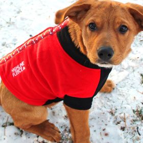 Highline Fleece Coat-Red and Black With Rolling Bones (size: Size 12)